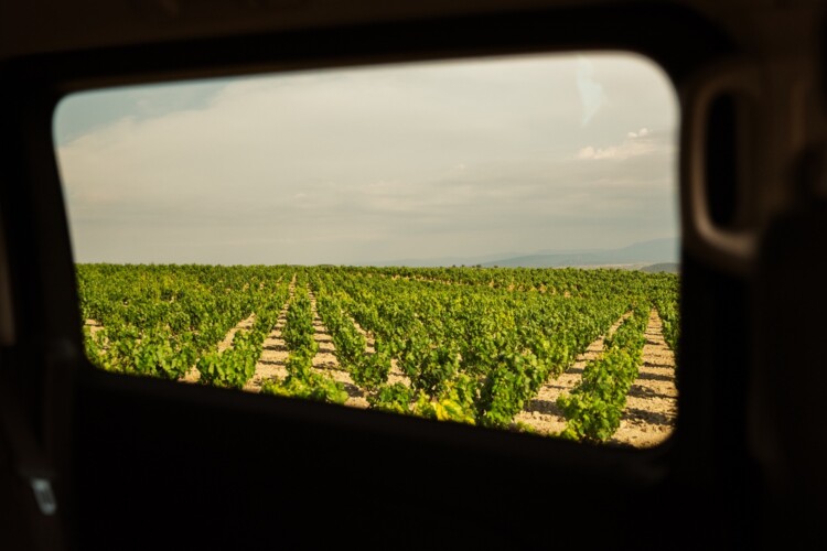 Premium Spanish wine tasting in San Sebastian