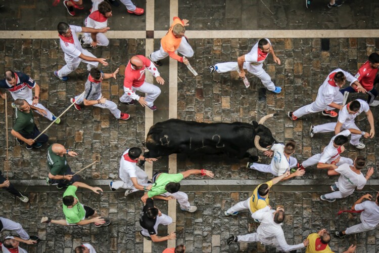 Pamplona y San Fermín